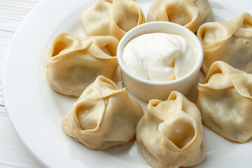 Russian meat dumplings with sour cream on white plate