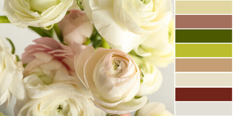Bouquet of beautiful ranunculus flowers, closeup. Different color patterns