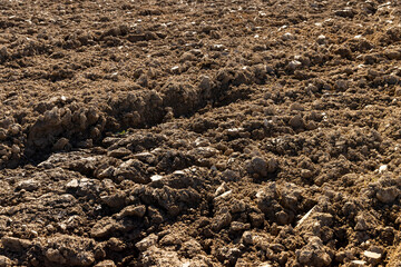 Processed plowed fertile soil in the field