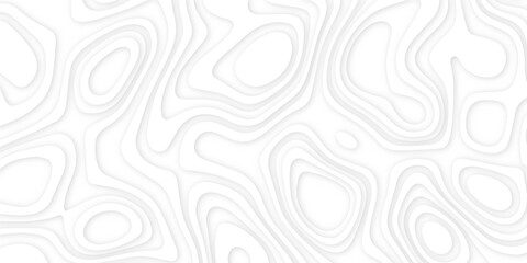 Abstract wavy line 3d paper cut white background. Topographic canyon geometric map relief texture with curved layers and shadow. Abstract realistic papercut decoration textured with wavy layers