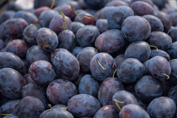 Bistritene  plums exposed for sale at the fair