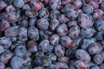 Bistritene  plums exposed for sale at the fair