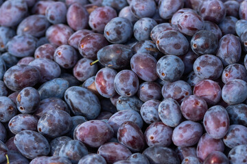 Bistritene  plums exposed for sale at the fair