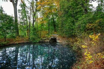 View of beautiful lake with fallen leaves in autumn park