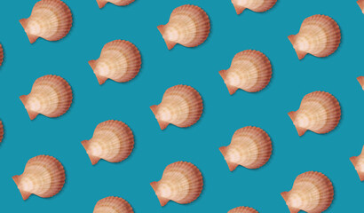 Pattern made of seashells on blue bacground. Marine concept background.