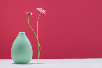 Two daisy spring flowers near a tiny green vase on table. Misplaced eccentric. Fragile. assumptions. Unordinary. Viva magenta background with copy space. Blooming flowers. Greeting card. Border banner