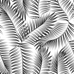 palm leaves seamless pattern on white background. monochromatic tropical seamless background. nature wallpaper. Floral background. Exotic tropic. Summer design. spring background. autumn pattern. fall