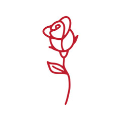 red rose outline illustration design
