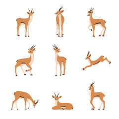 Elegant african antelope. Set of gazelles with horns on white background. Mammal animal. Vector illustration in flat cartoon style.
