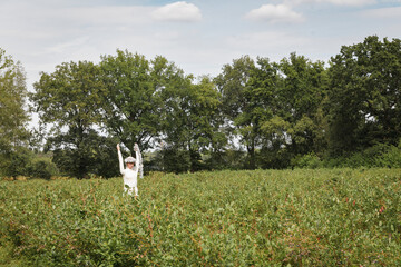Scarecrow on the agricultural field. Shop dummy installed as a scarecrow in the field against birds