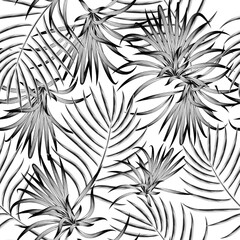 fashionable prints texture with tropical palm leaves and plants foliage on white background. tropical seamless pattern. nature wallpaper decorative. simple design. flat background. spring design