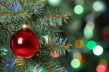 Red Christmas ball hanging on fir tree, closeup