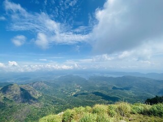 Naklejka premium landscape with sky