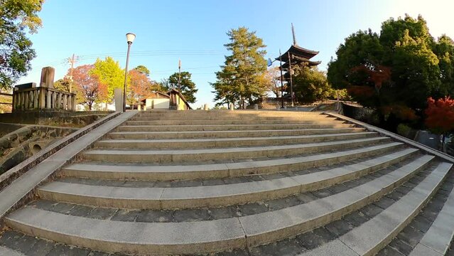 興福寺・五重塔と五十二段/秋の奈良公園