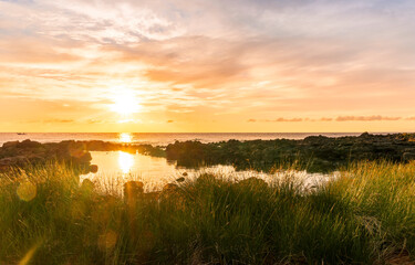 Fototapeta na wymiar beautiful sunrise from green reeds in sea coast with calm water , amazing cloudy sky and reflection on water surface