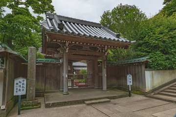 Fototapeta premium 鎌倉円覚寺 塔頭 佛日庵