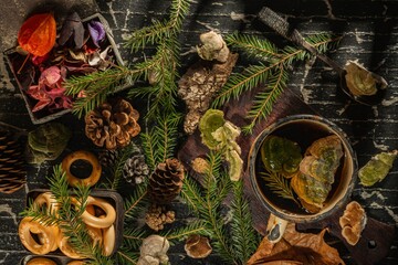 Still life- medicinal tea is a forest medicine from the polypore mushroom. Dark background- photo clipart