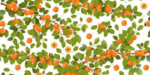 Branches apricot tree with ripe fruit beautiful. Garden plant with edible harvest. Seamless pattern composition. Branch with foliage and leaves. Isolated on white background. Vector