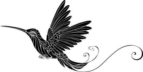 Obraz premium Black bird