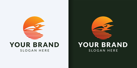 Eagle on the background of the setting sun. Vector logo template