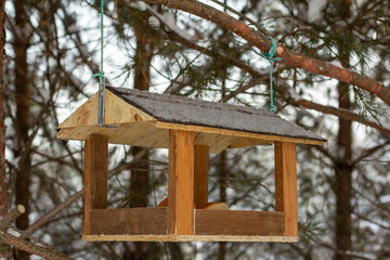 Bird feeder in the park on a fir tree.Feeding birds in the winter cold period.