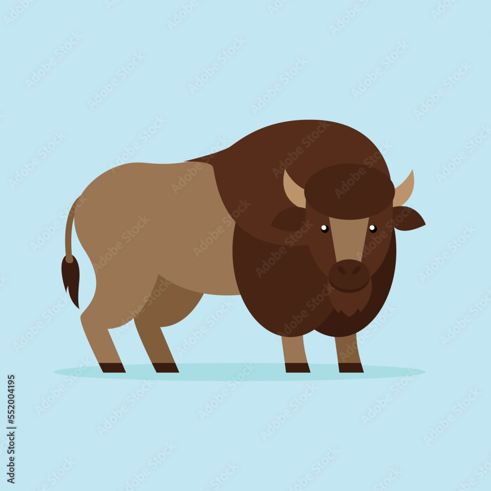 Poster Bison, buffalo, bull - illustration, vector, cartoon