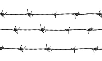 barbed wire isolated on white - obrazy, fototapety, plakaty