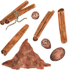Cinnamon sticks and nutmeg spices and powder. Spices clipart.  Hand-drawn watercolor  illustration.  For stickers, postcards, printing design
