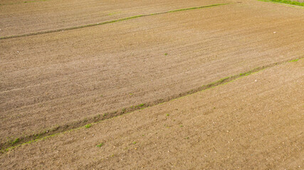 Aerial view of fields planted with wheat during in June