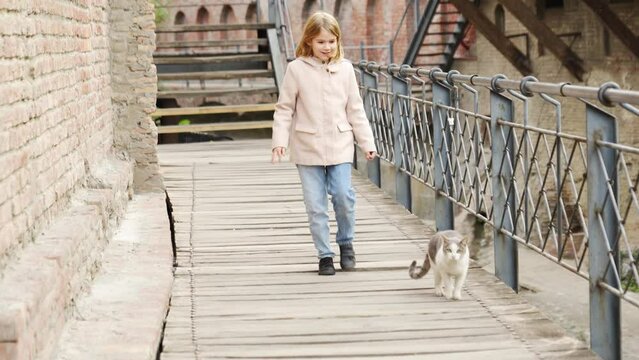 a little girl catches up with a cat on the bridge and strokes.