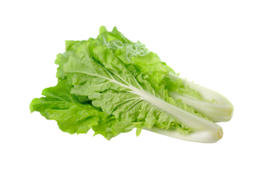 lettuce leaves isolated on transparent png