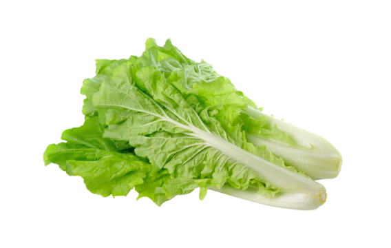 lettuce leaves isolated on transparent png