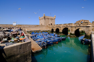 Castelo Real at fishing port, old portuguese fortress, Essaouira, morocco, africa