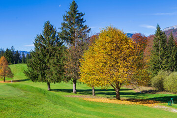 Autumn in the mountains. Beautiful autumn landscape
