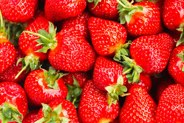 Ripe red strawberries. Strawberry background. Fresh organic red ripe Strawberry fruit background