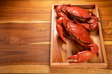 Seafood dish, Boiled Serrated mud crab on wooden plate , Steamed Red Crab seafood on wooden background.