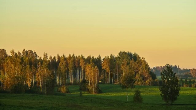 Timelapse shot along the grasslands on the outskirts of green forest at sunset during evening time.
