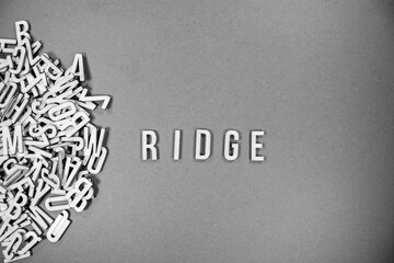 background with a pile of wooden capital letters spilling into words - RIDGE - black and white