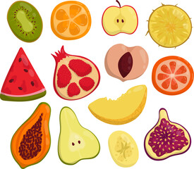 Vector set with fruit slices