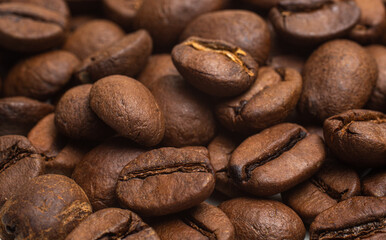 coffee grains closeup for background