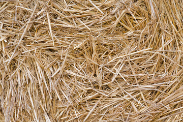 hey from a hay bales, background