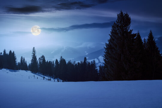 carpathian mountains with spruce trees at night. mysterious landscape with snowy hills and meadows in white season. misty scenery with silhouette of borzhava ridge in full moon light