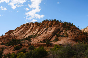 Zion national park