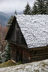 Wooden barn used for animals in high alpine meadow during winter time © roibu