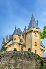 Fototapeta na wymiar Chateau de Clerans, Saint-Leon-sur-Vezere, France