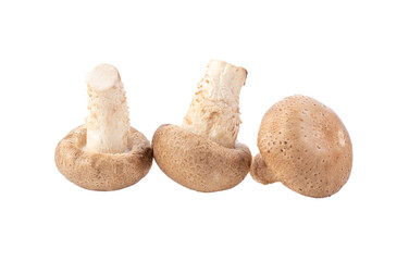 fresh shiitake mushrooms on transparent png