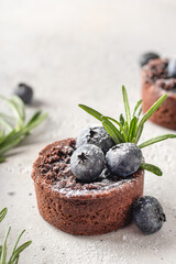 Chocolate brownies decorated with blueberries and rosemary on white textured background. Christmas, New Year recipe concept. Close up, copy space