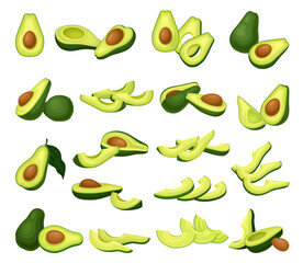 Avocado Bright Green Whole and Half Fruit with Large Seed Big Vector Set