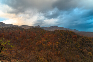 Forest and mountain peaks in autumn