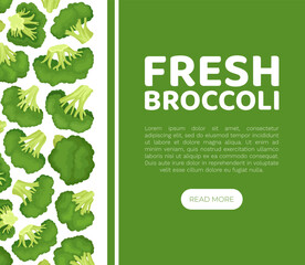 Broccoli Green Vegetable Design with Cabbage Head Vector Template